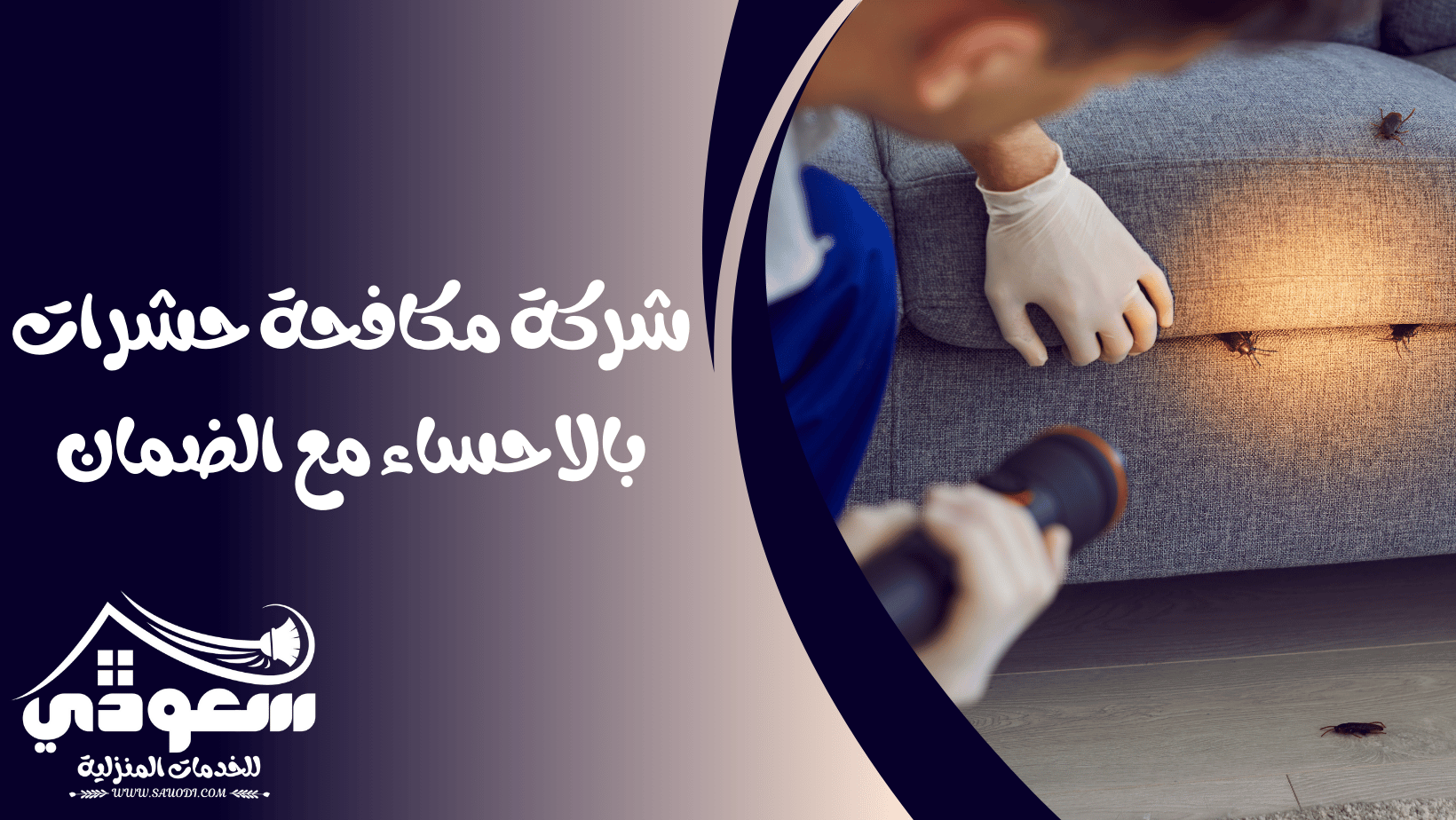 مكافحة حشرات بالاحساء